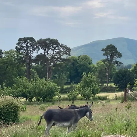 Apartman Peace With Views Near *