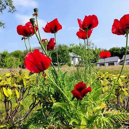 Mountain lodge north Wexford sleeps 4 Apartamento Gorey