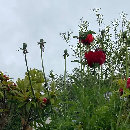 Apartman Peace With Views Near Gorey