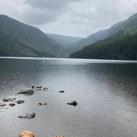Stylish Woodland Retreat With Balcony Views Lejlighed Gorey