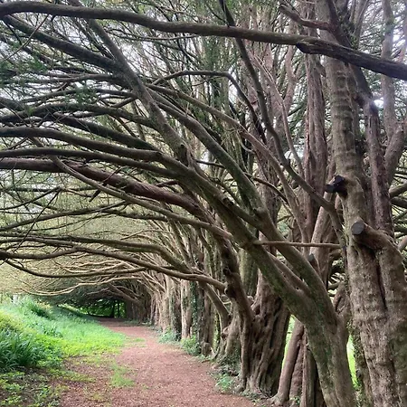 Apartman Peace With Views Near *