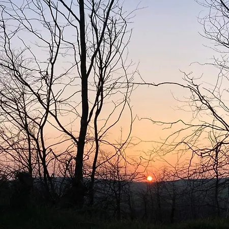 Peace With Views Near * Gorey