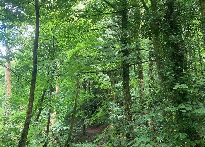 Apartament Mountain North Wexford Sleeps 4